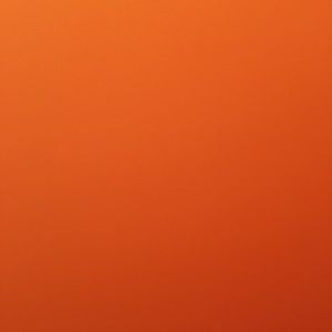 Meet your Posher, Amit